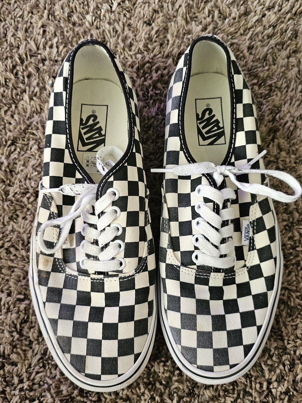Vans Black & White Checkerboard Authentic Low-Top Sneakers